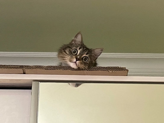 Now she's looking more at the camera, still with an extrememely blank expression