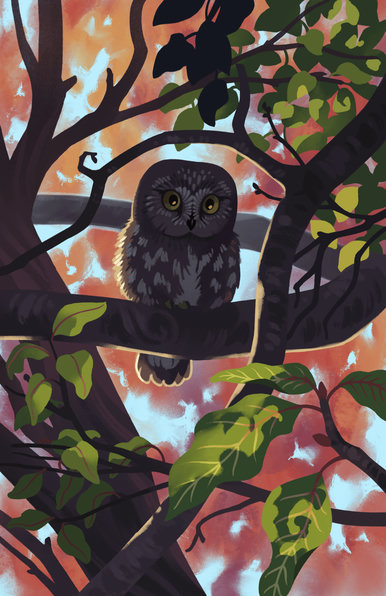 A painting of a northern saw-whet owl perched in a tree, framed by branches. Green leaves are partially illuminated in the fore and mid-ground, and in the background are a wash of indistinct leaves in autumnal colours.