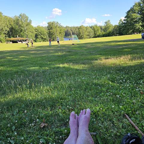 Bild på stor grön gräsmatta med lite lövträd här och där. I bortkant på bilden en blå vattenspegel. Lida