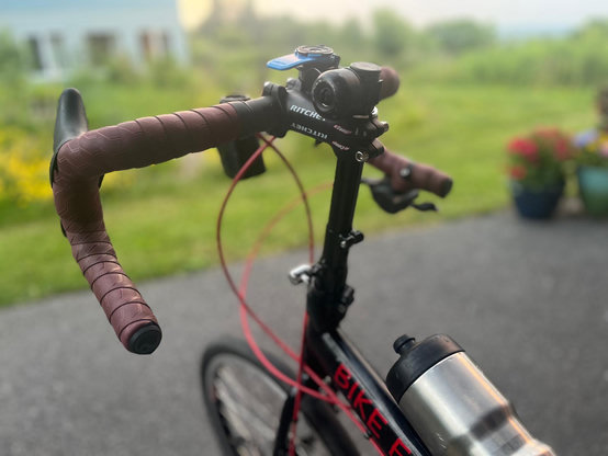 Maroon colored handlebars on a folding bike against a backdrop of a green lawn and flowers