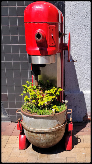This is a vertical image of an old industrial stand mixer on the sidewalk in front of a pizza place. The mixer is bright red, and in the bowl at the bottom are several planted flowers. 