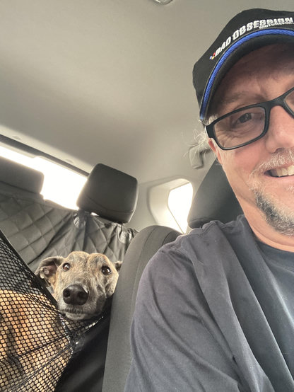 Selfie in the driver’s seat, Lina the Greyhound behind me resting her head on the net divider.