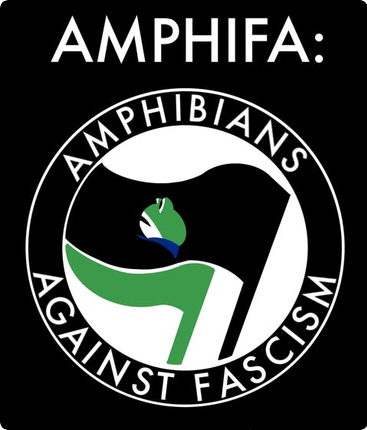 A circular logo for Amphifa - Amphibians Against Fascism. The logo has two flags, a black one and a green one. The black flag has an image of Protest Frog's head.