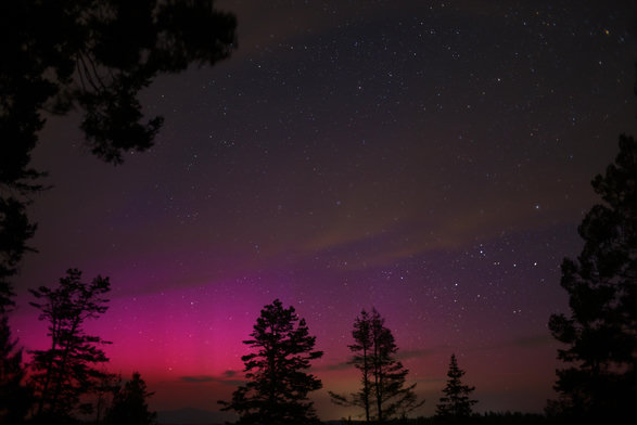 A wide angle time exposure of the night sky looks north and slightly east. The sky is mostly clear, but some cirrus are present. The lower left quadrant of the frame shows red/pink aurora. Above that area is rather faint blue aurora. Trees make black silhouettes.
The familiar "W" asterism of Cassiopeia is in the lower right corner.