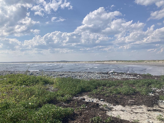 A choppy ocean rushes onto a crescent sand beach, viewed from an outcrop with greenery and beach rocks. The beach has low rolling dunes topped with grasses and wild roses (not visible at this distance). The sky is pale blue with white and grey fluffy clouds.