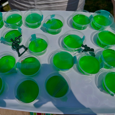 Kyle Clark provides a picture of a woman near the Reflecting Pool in DC handing out little dishes of green jello which apparently contain jello shots with little blue bits to make fun of the algae-filled pool that contains bits of blue paint. There are also little green Army men toys around the table.