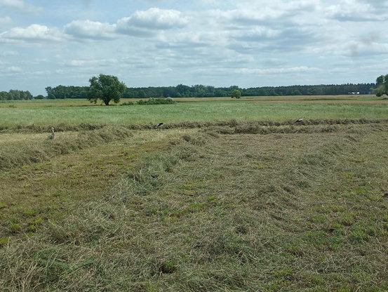Trzeci doleciał przed chwilą