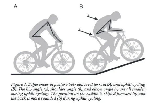 Diagram of cycling body position on flat ground, and adapted for climbing.