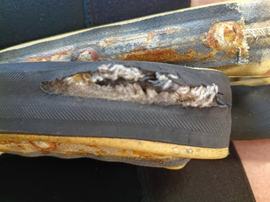 A tubular bicycle tire with a large rip through the bias ply, exposing the tube inside with a large rip of its own.