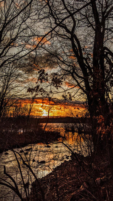 The sun is setting, most everything except water and sky is in near silhouette. We are standing beside a rushing stream in a forest of leafless trees and shrubs, although a handful of crumpled brown leaves cling to branches here and there. Ahead the stream pours out into a lake. The sky through the branches is a pale blue with some clouds, mostly clustered along the horizon. The setting sun is painting those clouds bright gold and orange.