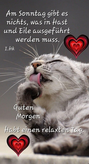 Ein KI-Bild zeigt ein graugetigertes Kätzchen, es putzt sich gerade sein rechtes Vorderpfötchen. Es ist umgeben von zwei roten Herzchen. Dazu steht:
Am Sonntag gibt es
nichts, was in Hast
und Eile ausgeführt
werden muss.
Guten
Morgen
Habt einen relaxten Tag.
(I.Hk)