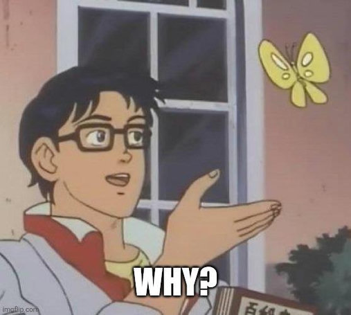 Is this a pigeon meme that just says "Why?"