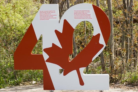 A big 42, painted in red and white, informs readers that they are just south of the 42nd parallel, as far south as Rome and Barcelona. Some of Canada's rarest plants and animals are found at Point Pelee because of its southerly climate.