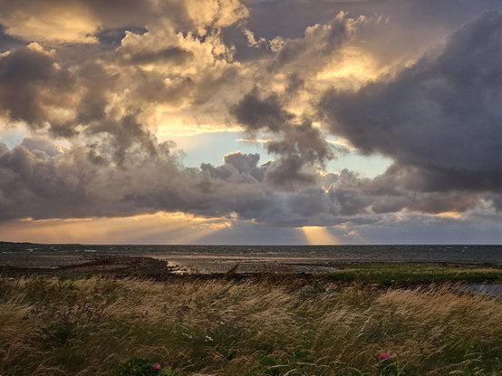 Sol och hav