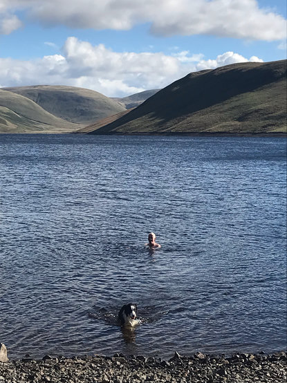 A view into the water looking down towards the hills, a man is swimming in the near distance and a Border Collie emerging with a relieved ball