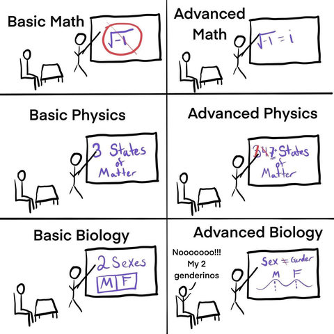 A six-panel comic strip is arranged in a grid with two columns and three rows. The top row contains panels labeled "Basic Math" and "Advanced Math," Math," showing stick figures pointing to whiteboards displaying $\sqrt{-1}$ $\sqrt{-1}$ crossed out in red and $\sqrt{-1} = i$. The middle row features panels labeled "Basic Physics" and "Advanced Physics," displaying "3 States of Matter" and "347 States of Matter" on whiteboards. The bottom row starts with "Basic Biology," showing a whiteboard that reads "2 Sexes" above a box containing "M | F." The final panel, "Advanced Biology," shows a person at a desk saying, "Noooooo!!! My 2 genderinos" while another points to a whiteboard that reads "Sex $
eq$ Gender" above two wavy lines labeled "M" and "F."