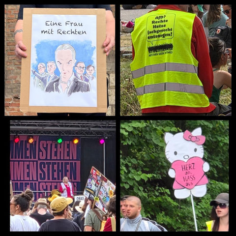 4 Bilder in einem, verschiedene Demo Bilder mit Plakaten