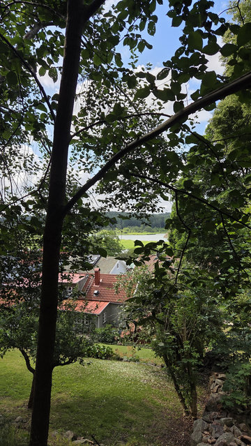 Backen upp hem med utsikt mellan träden, förbi gamla hus, ut mot älven.