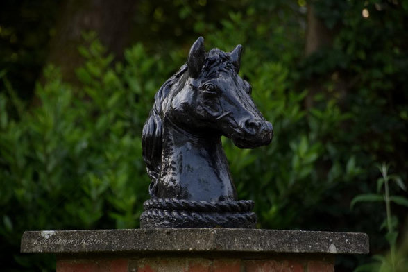 Sculpture at Blackhorse Cottage

August 2024, Densole/Kent

Black sculpture of a horse’s head mounted on a brick pillar, with green foliage in the background.