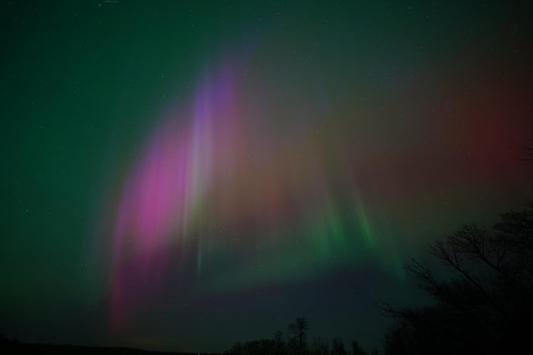 An arc made up of vertical columns of purple, red, and green, with bright green background. There are silhouetted bare trees in one corner of the photo.