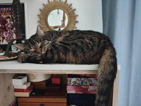 Picture of a brown/black striped cat sleeping on top of a shelf in our bedroom.