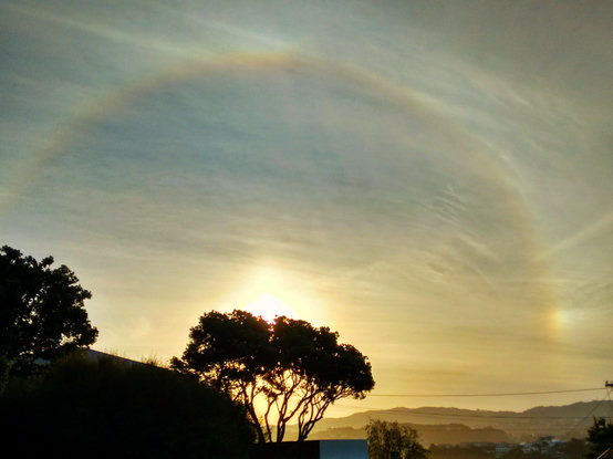 A landscape photograph capturing a striking atmospheric phenomenon. The sun is low on the horizon, glowing intensely from directly behind the dark silhouette of a prominent, leafy tree. High above in the thin, wispy cirrus clouds, a large, faint 22-degree solar halo forms a wide arc across the pale sky. On the right side of the ring, a distinct, bright sundog flashes with a spectrum of warm light. The bottom of the frame features the dark outlines of rolling hills and distant rooftops under a hazy golden sky.