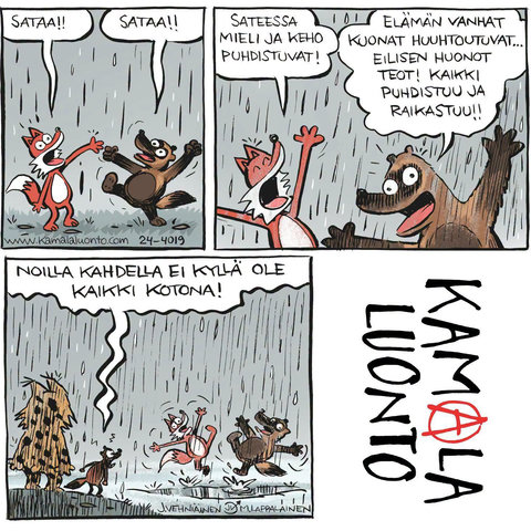Sarjakuva Kamala luonto, kettu ja karhu ilakoivat sateessa. Puhekuplissa tekstejä: "Sataa!!", "Sataa!!", "Sateessa mieli ja keho puhdistuvat", "Elämän vanhat kuonat huuhtoutuvat.. Eilisen huonot teot! Kaikki puhdistuu ja raikastuu!!" Kolmanteen kuvaan ilmestyy ilves ja joku näätä, joka toteaa: "Noilla kahdella ei kyllä ole kaikki kotona!!"