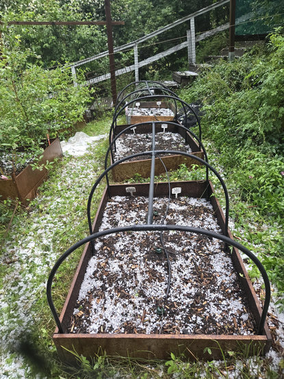 Tre odlingslådor m hagel i 