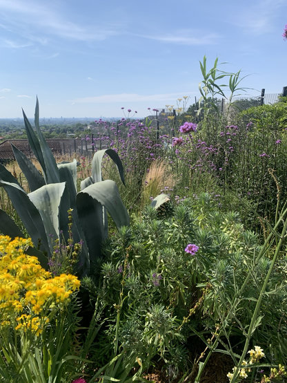View in a very sunny day of a Mediterranean type garden and London spread out like an ocean in the background 