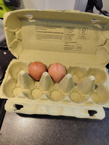 two brown eggs in a carton