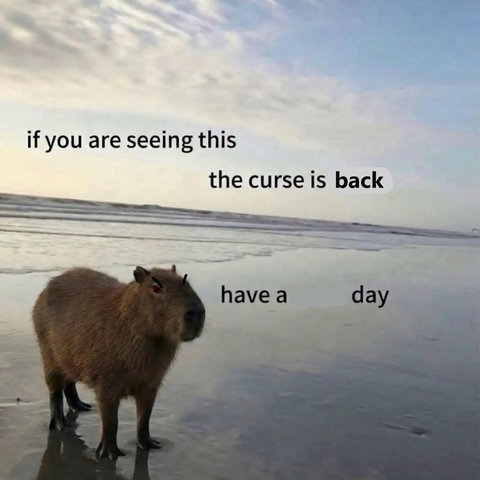Evil capybara edit says: 

if you are seeing this the curse is back

have a day