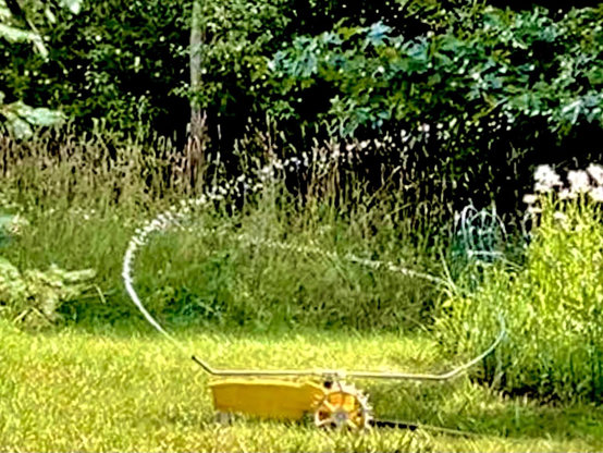 A yellow tractor sprinkler as it drives by a garden with pink flowers. This was my dad’s and is at least 50 years old if not older. The spinning top cast two water streams in arcs across the picture.