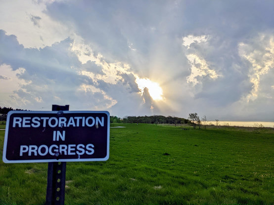 The sun peeking between clouds at the dog park - in the foreground is a sign reading “Restoration in progress “.