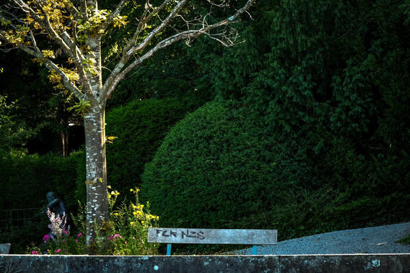 Ein Park mit beschnittenen Büschen, einen Baum und eine Bronzestatue, die sich hinter Blümchen versteckt und irgendwie ertappt wirkt. Daneben eine Holzbank mit dem Namen FCK NZS. Man sieht nur die Lehne, davor ist ein Mäuerchen. 
