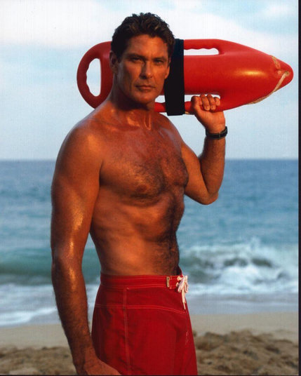 David Hasselhoff on the beach in his red Trunks with his safety buoy thingummy, holding his tummy in and looking brooding. Just like me*

* possibly 