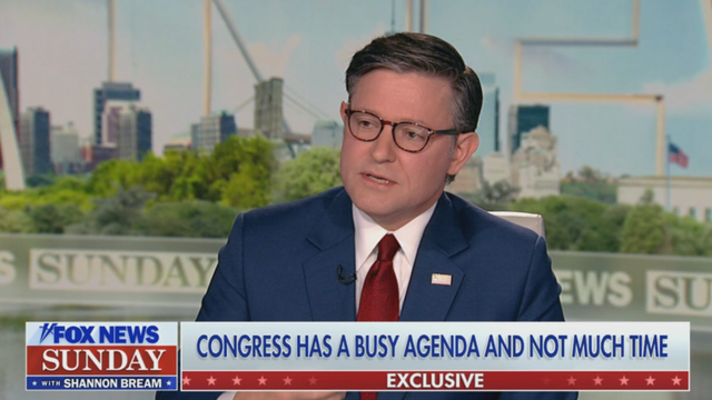 Speaker Mike Johnson on Fox news Sunday.