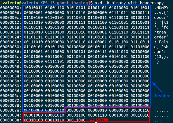 a screenshot of some binary dissection