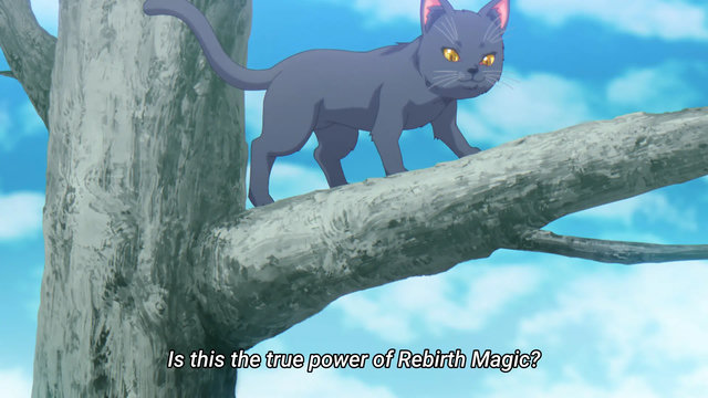 "Is this the true power of Rebirth Magic?"