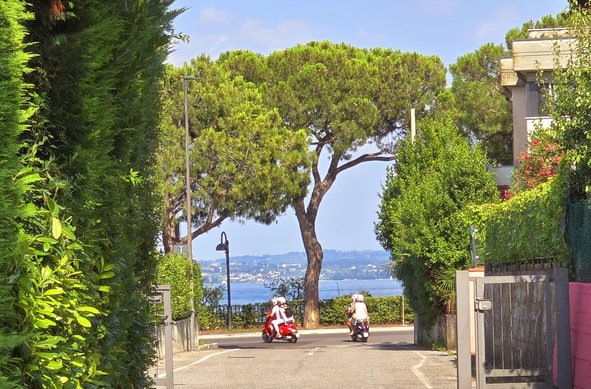 A sunlit view looking down a paved lane framed by lush, tall green hedges and a partial metal gate, opening onto a lakeside road. Two motor scooters - Vespa - one red carrying two people and one dark scooter, ride along the road with their riders wearing white helmets. In the background, a large, umbrella-shaped stone pine tree stands prominently against a wide blue lake, with a hazy, hilly shoreline visible on the far side under a clear sky.