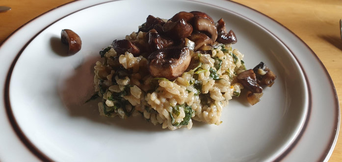 grünliches Risotto mit Pilzen drüber auf einem Teller