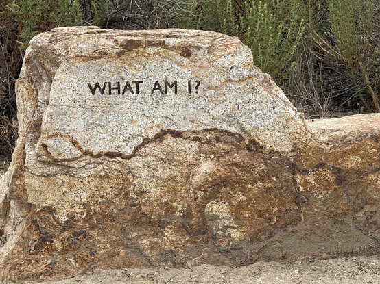 A large rock with the phrase "WHAT AM I!?" etched into its surface, surrounded by a natural landscape with sparse vegetation.