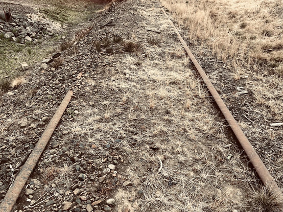 Two train tracks recede into dirt and weeds