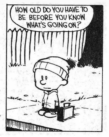 A panel from the cartoon Calvin and hobbes by Bill Waterson 

Calvin is shown bundled up in his winter coat and a knit winter beanie, standing next to his lunchbox. He poignantly asks, "How old do you have to be before you know what's going on?"