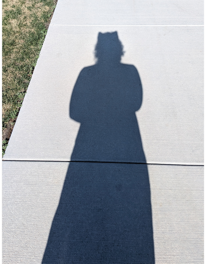A shadow of a certain prideful kitty out and about with her ears visible.