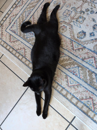 A small squishy black cat stretches out on a light colored rug over a tile floor. Her arms and legs are extended forward and backward in sploot position.