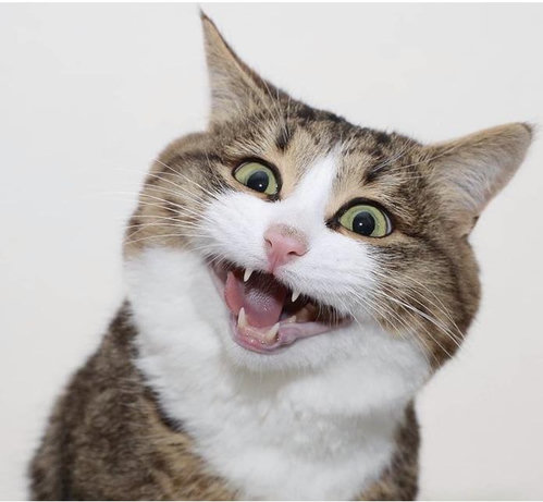 WAT
