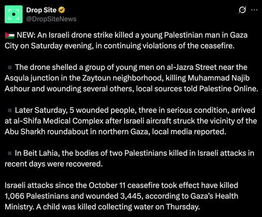 🇵🇸 NEW: An Israeli drone strike killed a young Palestinian man in Gaza City on Saturday evening, in continuing violations of the ceasefire. 

▪️The drone shelled a group of young men on al-Jazra Street near the Asqula junction in the Zaytoun neighborhood, killing Muhammad Najib Ashour and wounding several others, local sources told Palestine Online.

▪️Later Saturday, 5 wounded people, three in serious condition, arrived at al-Shifa Medical Complex after Israeli aircraft struck the vicinity of the Abu Sharkh roundabout in northern Gaza, local media reported.

▪️In Beit Lahia, the bodies of two Palestinians killed in Israeli attacks in recent days were recovered.

Israeli attacks since the October 11 ceasefire took effect have killed 1,066 Palestinians and wounded 3,445, according to Gaza’s Health Ministry. A child was killed collecting water on Thursday.