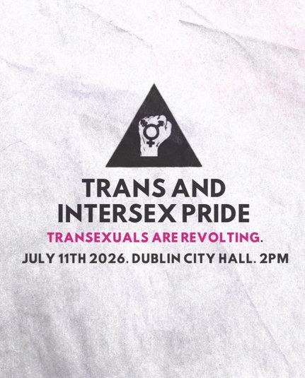 Event poster, with details written beneath a black triangle writhin which is a white fist, on which is a black transgender and genderqueer symbol. 