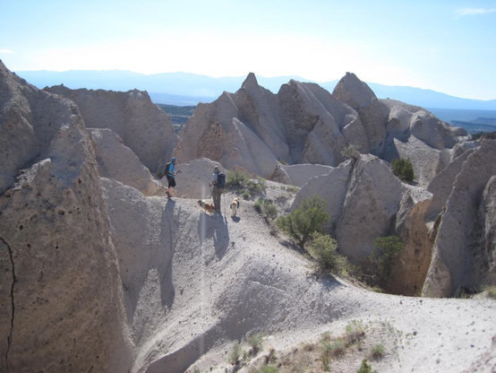 Two people and two dogs are hiking on a saddle ridge in weird badlands terrain: the ground is soft loosely consolidated tuff or maybe pumice, with a little bit of scrubby grass and juniper here and there; the pumice has bee sculpted into a network of knife-sharp curving ridges and peaks.