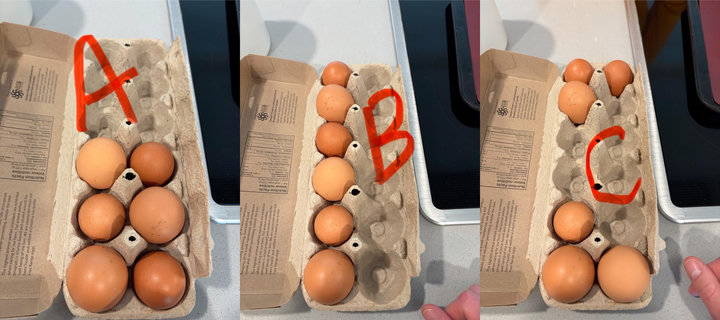 Option a: all eggs collected to one short end. Option b: all eggs collected to one long end, Option C: eggs distributed 3 on each short end